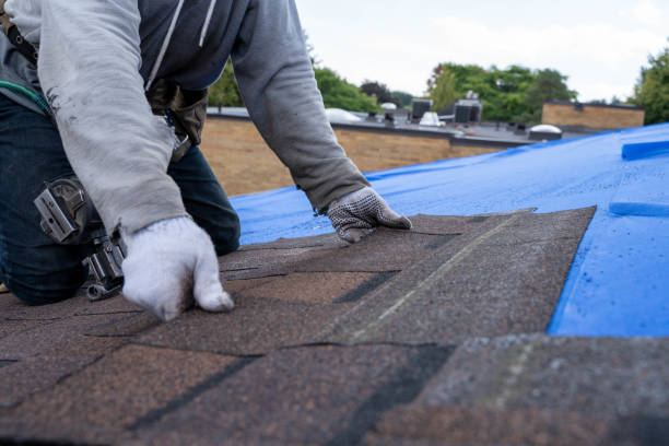 Best Storm Damage Roof Repair  in Madison, NC